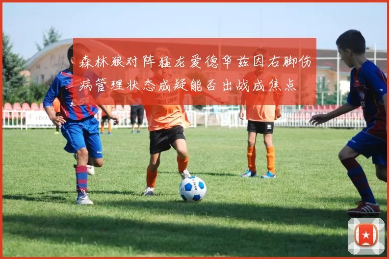 森林狼对阵猛龙爱德华兹因右脚伤病管理状态成疑能否出战成焦点